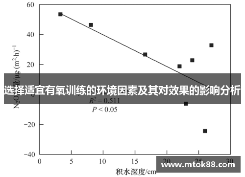 选择适宜有氧训练的环境因素及其对效果的影响分析