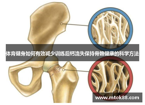 体育健身如何有效减少训练后钙流失保持骨骼健康的科学方法